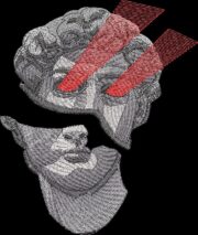 Statue of Liberty - Image 3