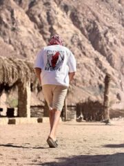 1 Palestinea Ard El Ezza - Image 2